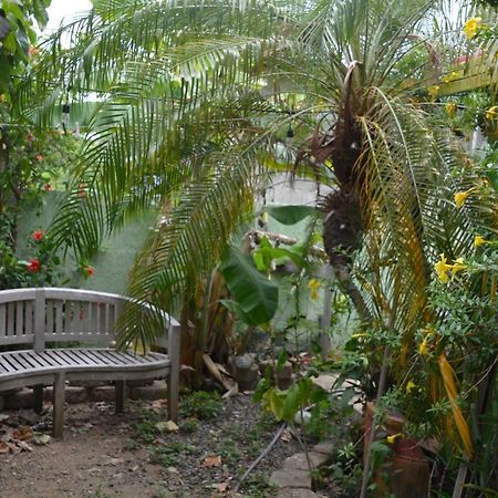 Palmetto Guesthouse Isla Culebra Esterno foto