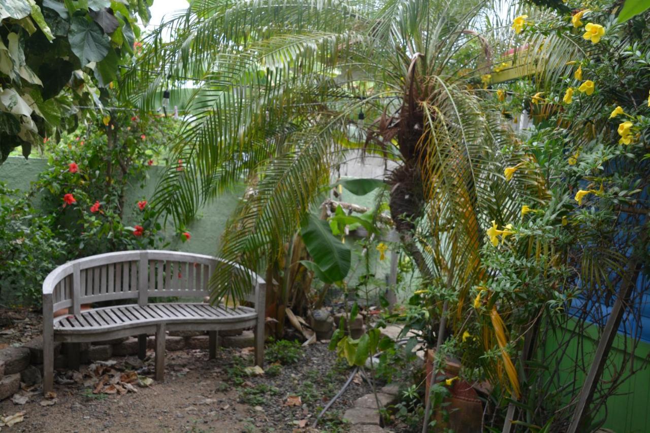 Palmetto Guesthouse Isla Culebra Esterno foto