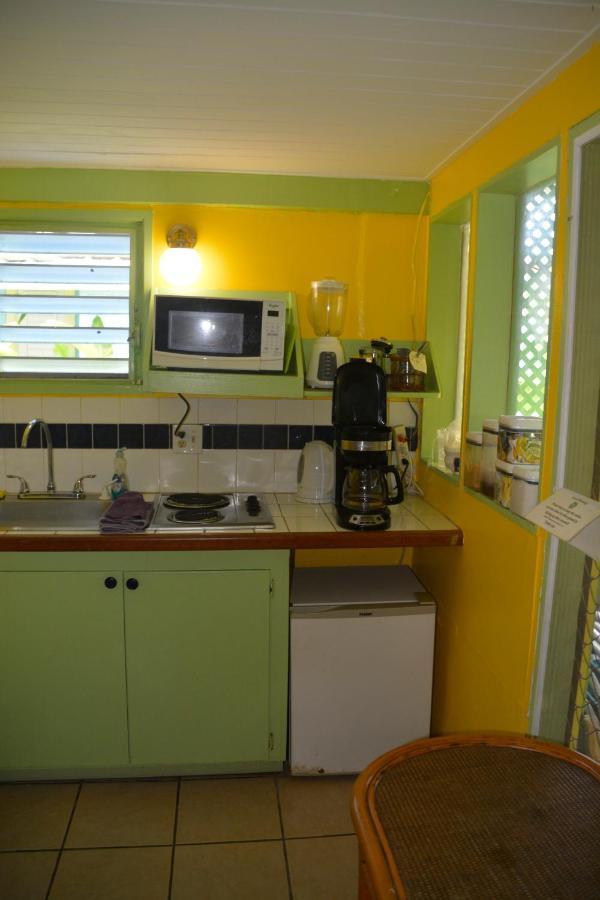 Palmetto Guesthouse Isla Culebra Esterno foto